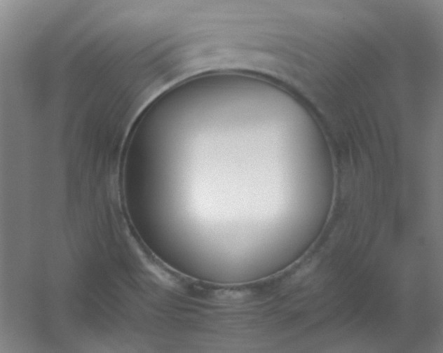 X0000054431513200508121805