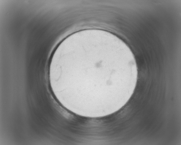 X0000054431514200508121805