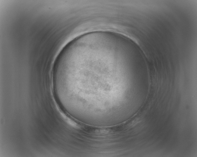 X0000054431515200508121805