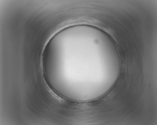 X0000054431516200508121805