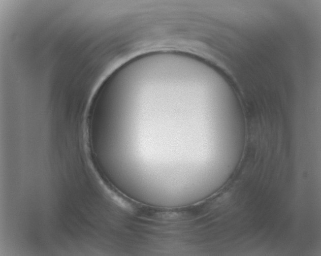 X0000054431517200508121805