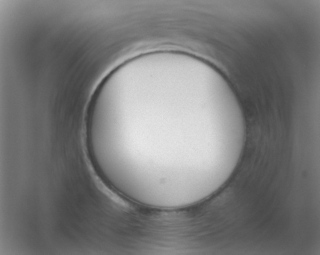 X0000054431518200508121805