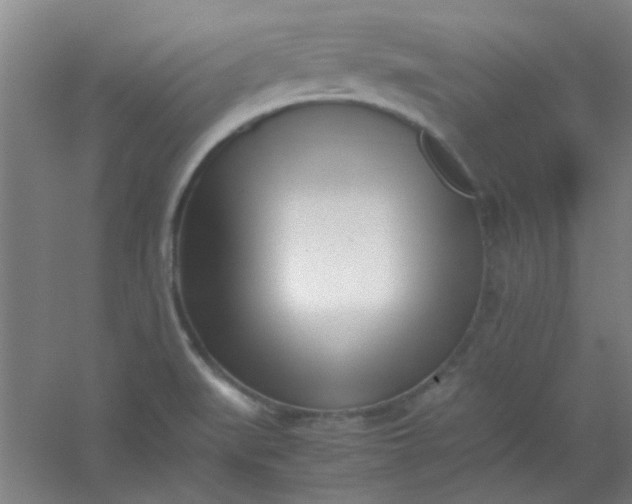 X0000054431519200508121805