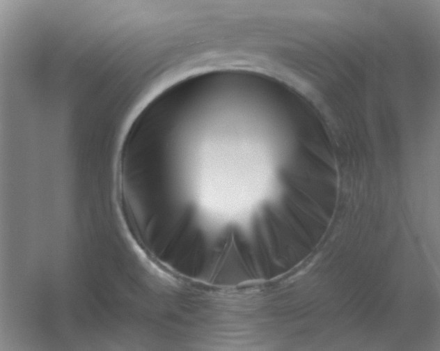 X0000054431520200508121805