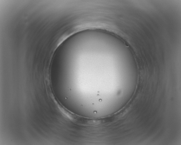 X0000054431521200508121805