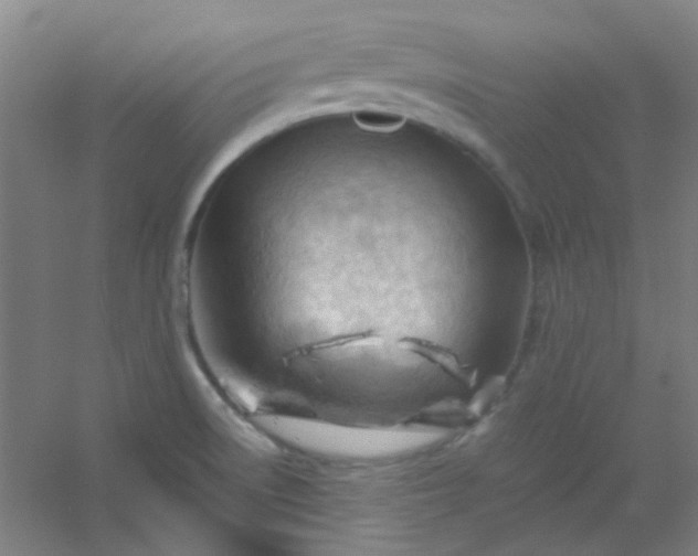 X0000054431522200508121805