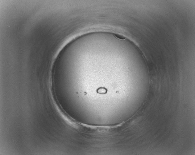 X0000054431523200508121805