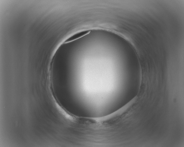 X0000054431524200508121805