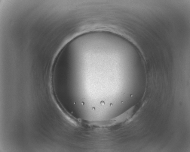 X0000054431525200508121805