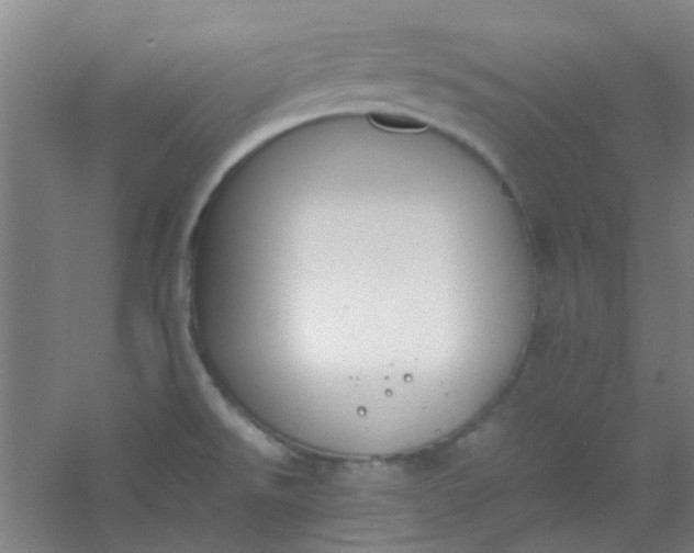 X0000054431526200508121805