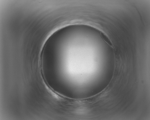 X0000054431527200508121805