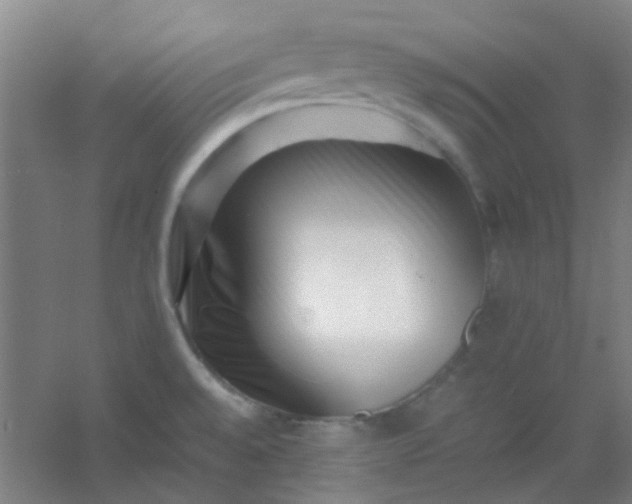 X0000054431528200508121805