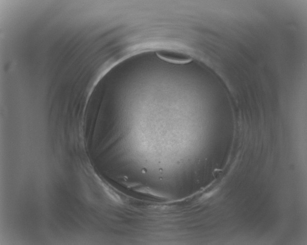 X0000054431529200508121805