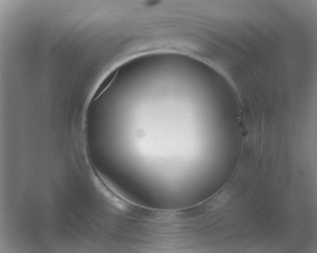 X0000054431532200508121805