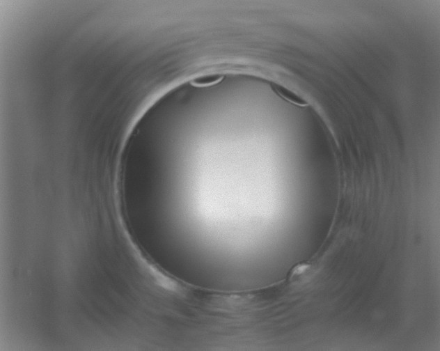 X0000054431533200508121805