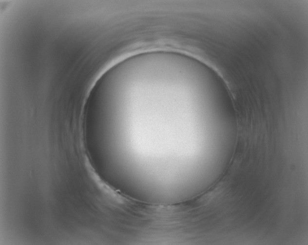 X0000054431534200508121805