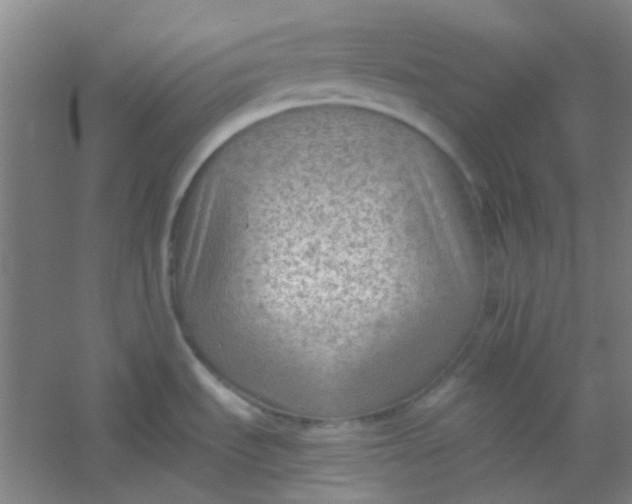 X0000054431535200508121805