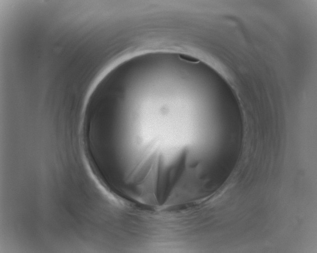 X0000054431536200508121805