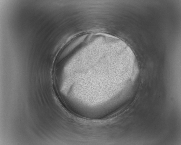 X0000054430002200508192136