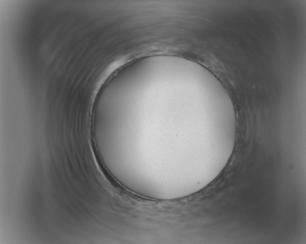 X0000054430003200508192136