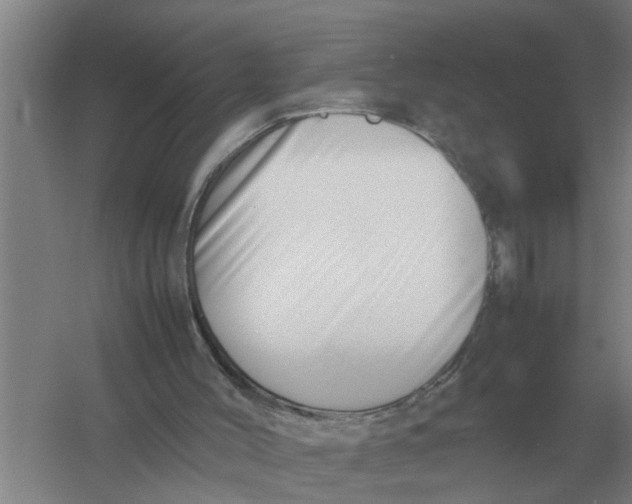 X0000054430004200508192136