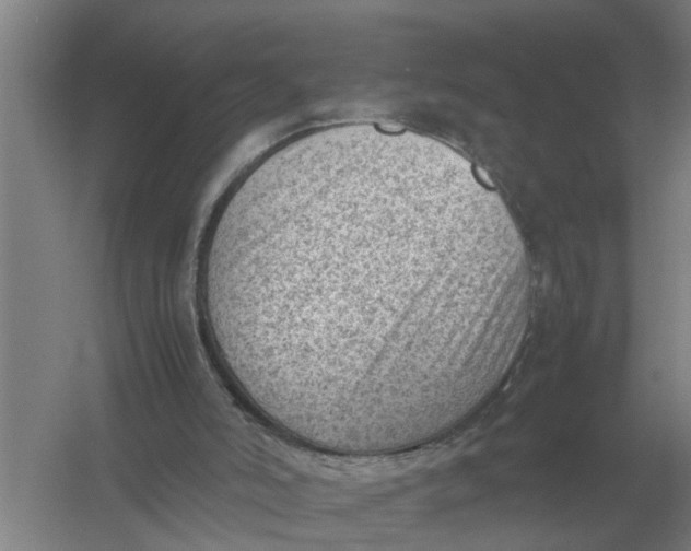 X0000054430006200508192136