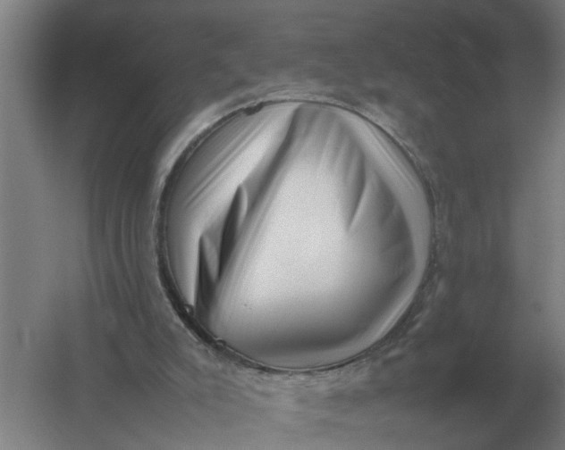 X0000054430007200508192136