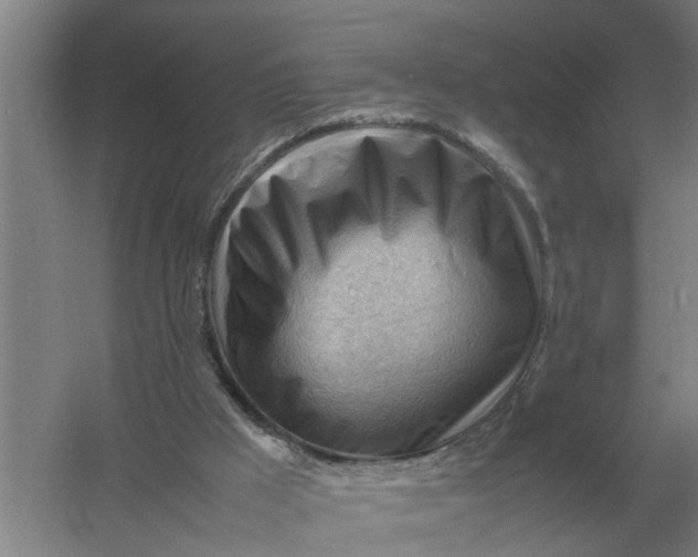 X0000054430009200508192136