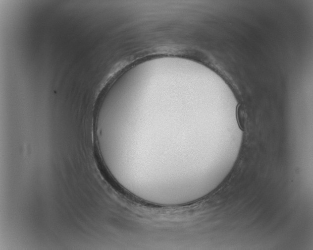 X0000054430011200508192135