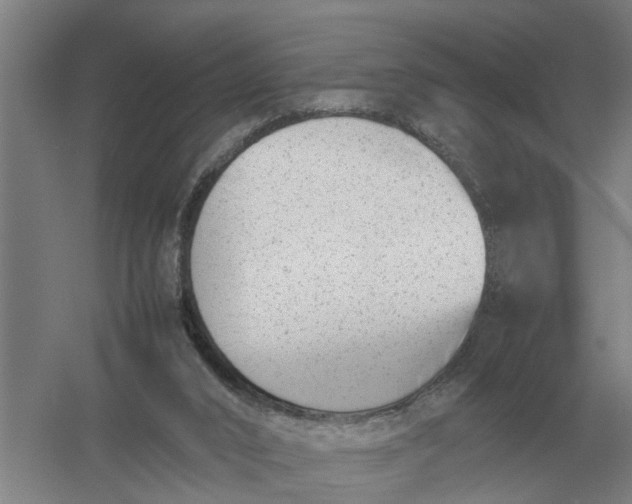 X0000054430016200508192135