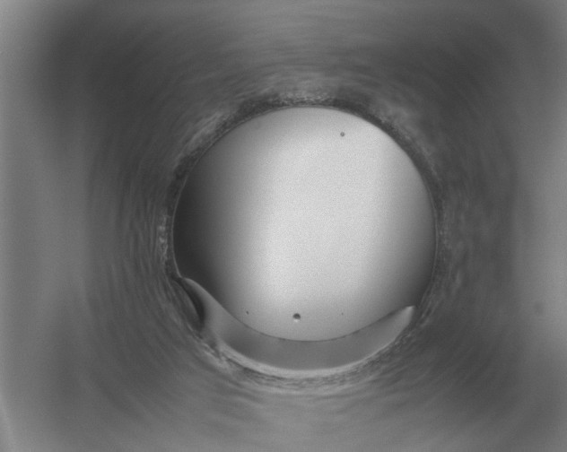 X0000054430017200508192135