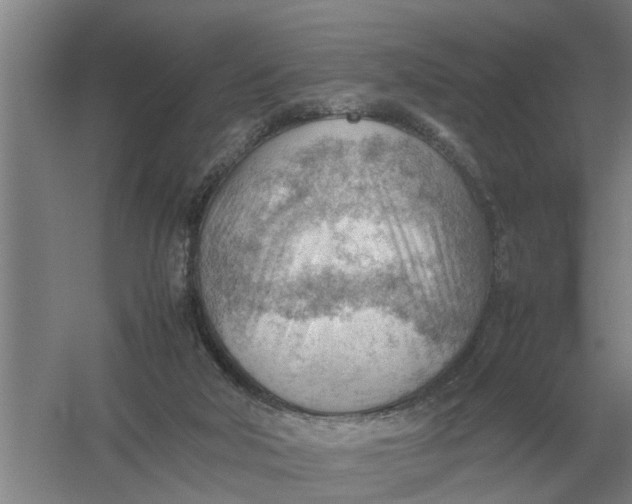 X0000054430018200508192135