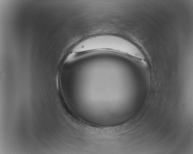 X0000054430019200508192135