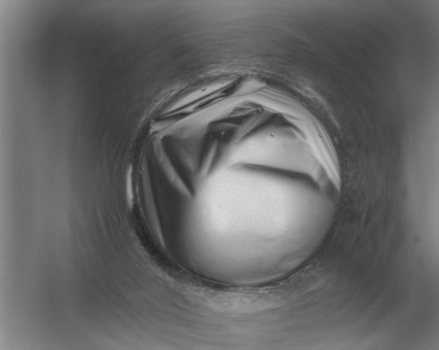 X0000054430020200508192135