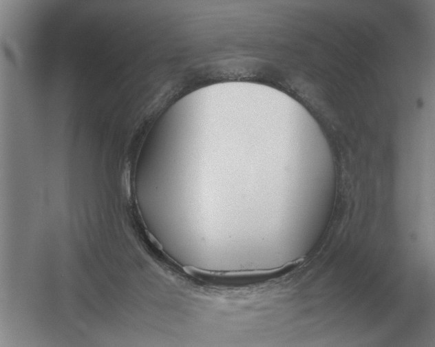 X0000054430021200508192135