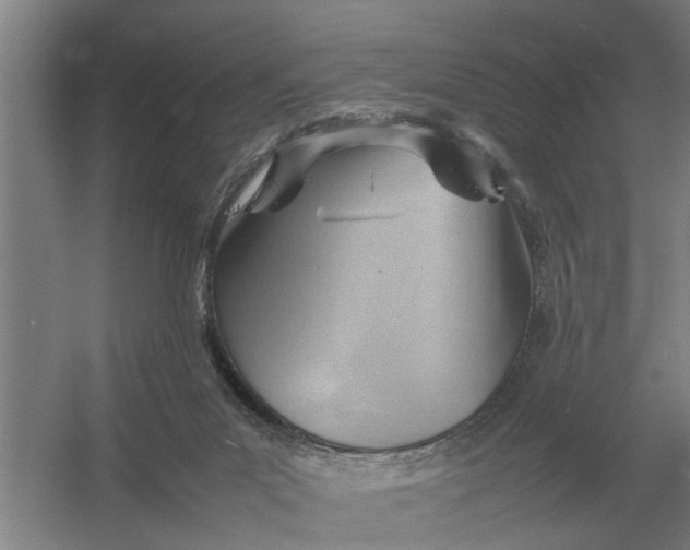 X0000054430023200508192135