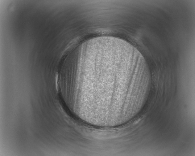 X0000054430024200508192135