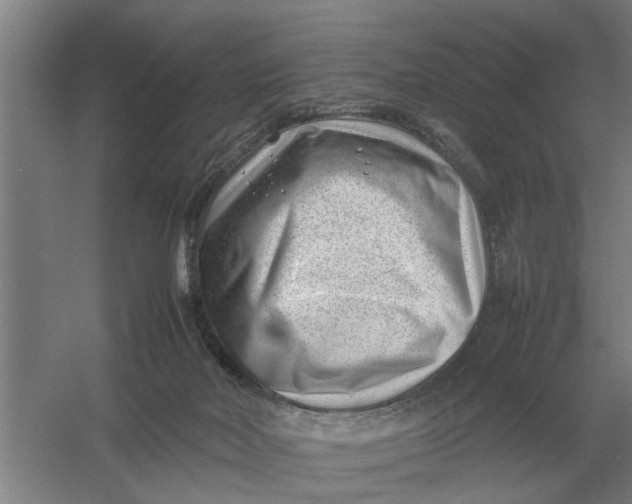 X0000054430026200508192135