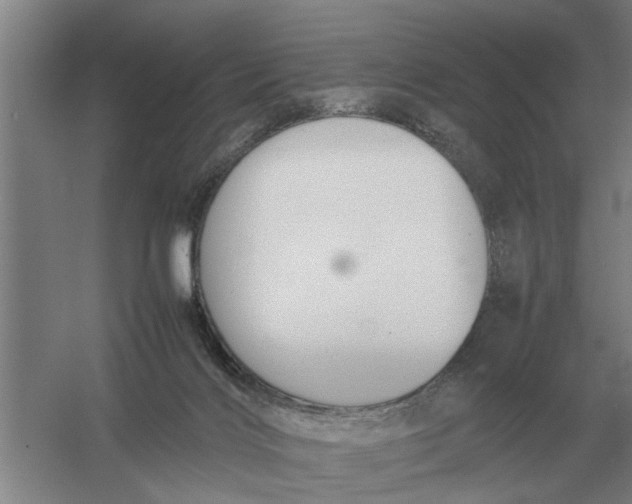 X0000054430028200508192135