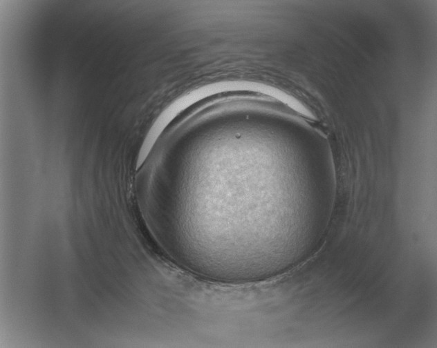 X0000054430029200508192135