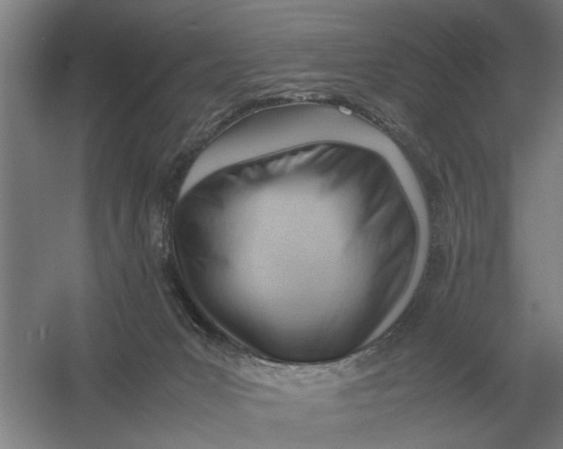 X0000054430031200508192135