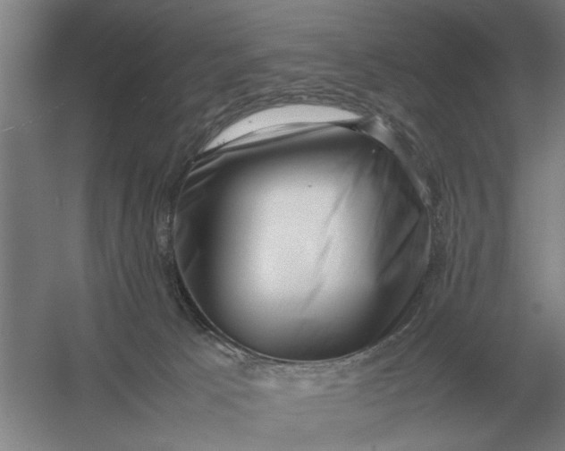 X0000054430033200508192135