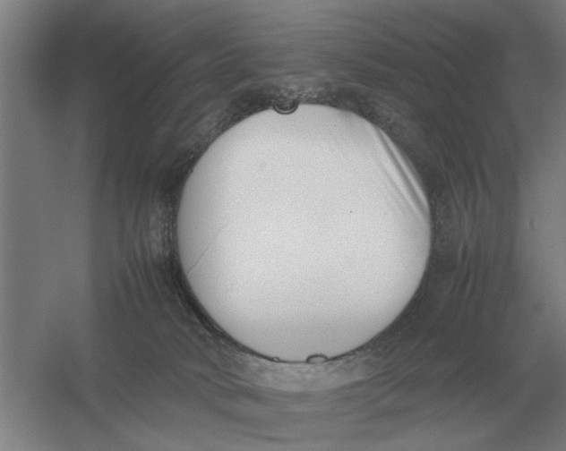 X0000054430034200508192135