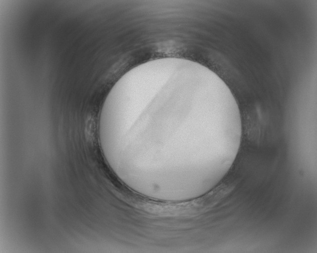 X0000054430036200508192135