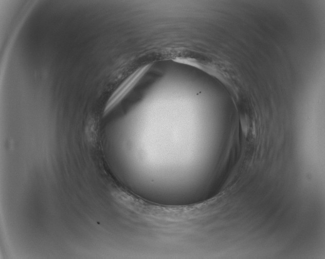 X0000054430037200508192135