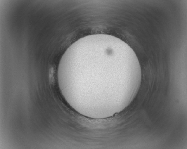 X0000054430038200508192135