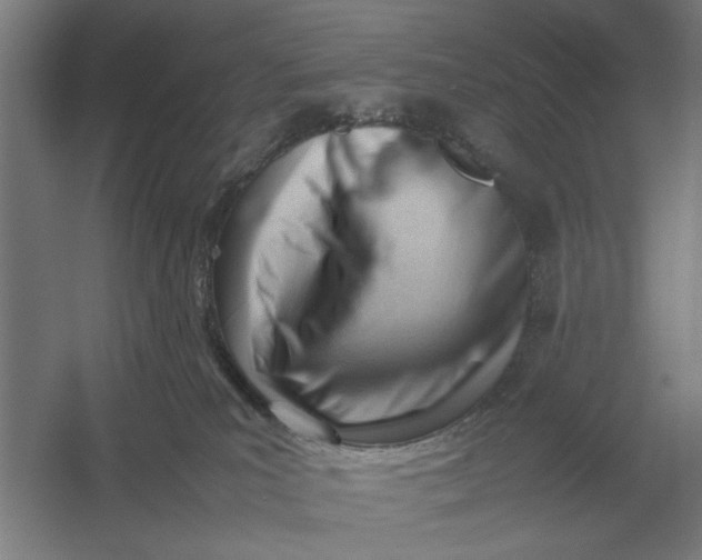 X0000054430039200508192135