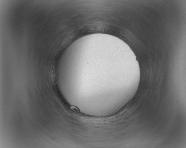 X0000054430040200508192135