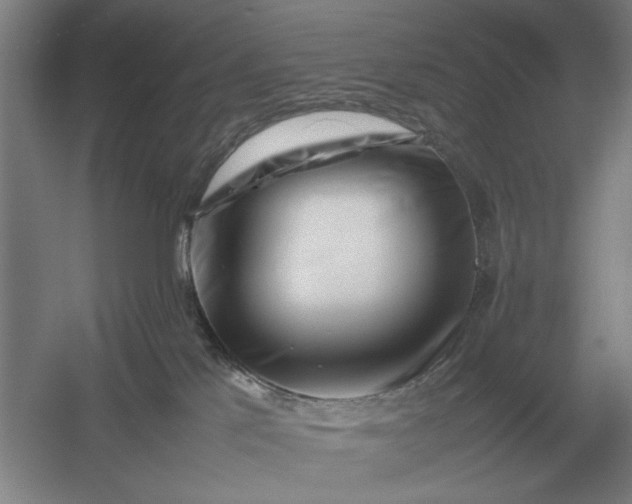 X0000054430041200508192135