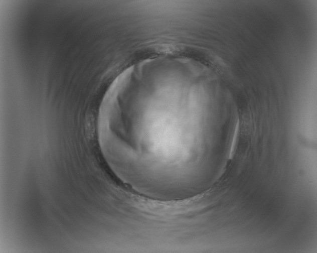 X0000054430043200508192135